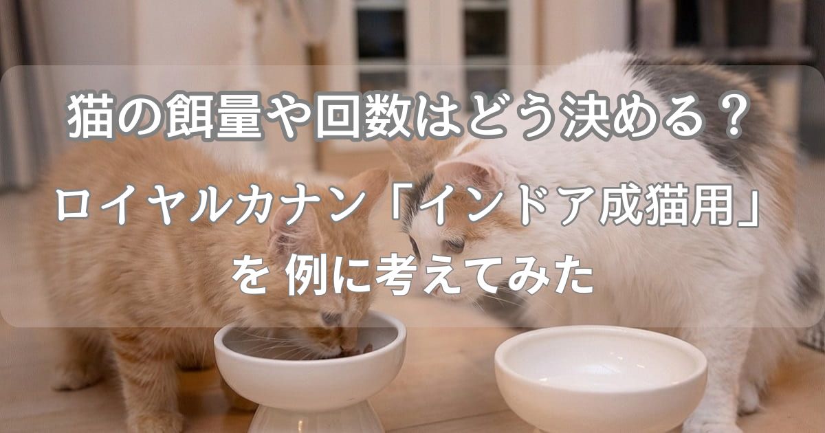 猫の餌量や回数はどう決める？ロイヤルカナン「インドア成猫用」を例に考えてみた