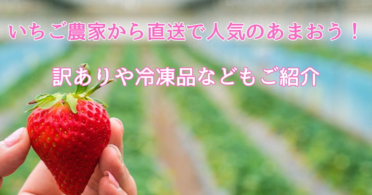 いちご農家から直送で人気のあまおう！訳ありや冷凍品などもご紹介